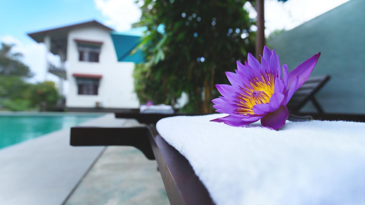 Kaminrich Cottage มาตารา ภายนอก รูปภาพ